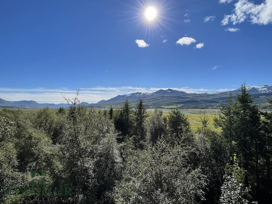 Forest Hideaway Near Akureyri Eksteriør bilde